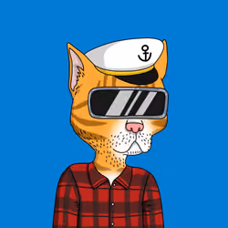 Gutter Cat #2428