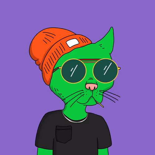 Gutter Cat #434