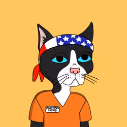 Gutter Cat #2108