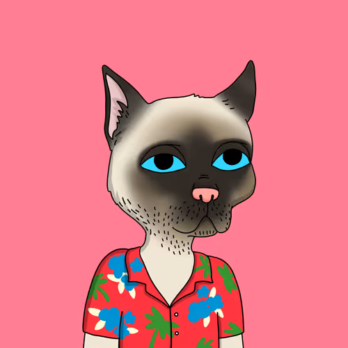 Gutter Cat #2545