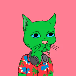 Gutter Cat #941