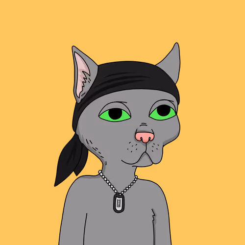 Gutter Cat #1506