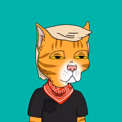 Gutter Cat #2923