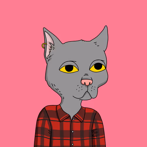 Gutter Cat #2984