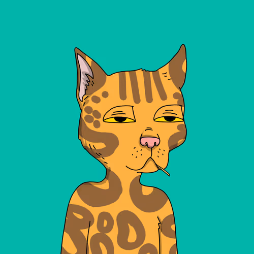 Gutter Cat #1421