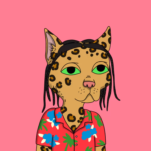 Gutter Cat #1606