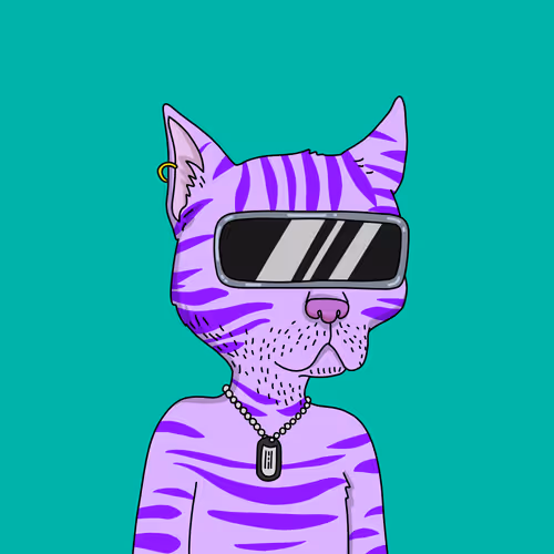 Gutter Cat #1804