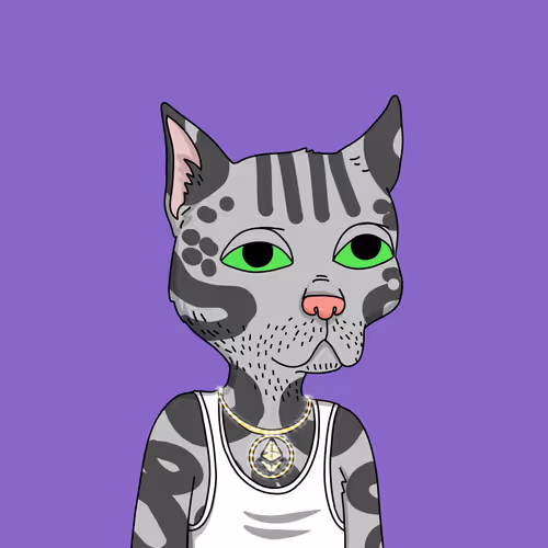 Gutter Cat #2997