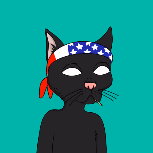 Gutter Cat #2563