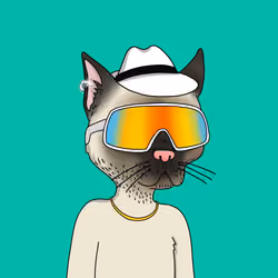 Gutter Cat #1247