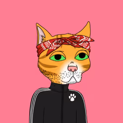 Gutter Cat #1838