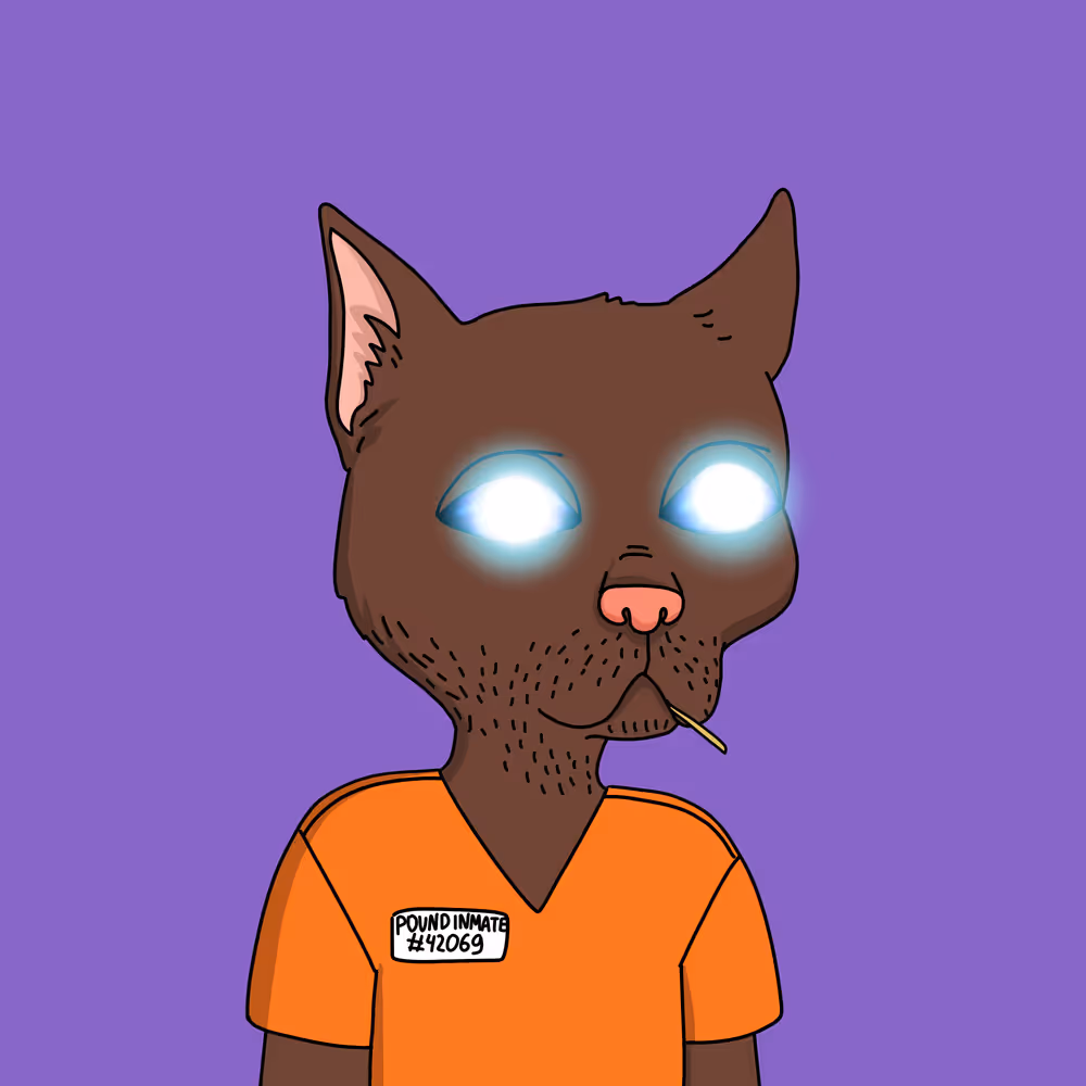Gutter Cat #2962