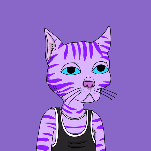 Gutter Cat #1126