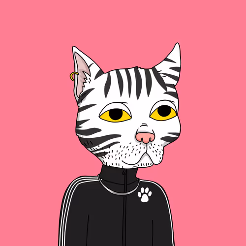 Gutter Cat #1637