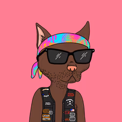Gutter Cat #2071