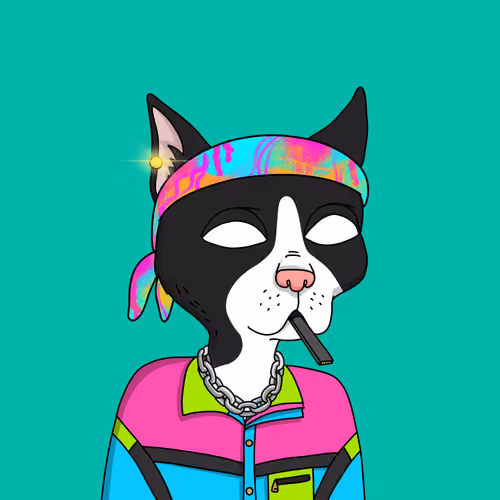 Gutter Cat #1803
