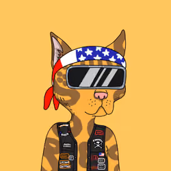 Gutter Cat #1877
