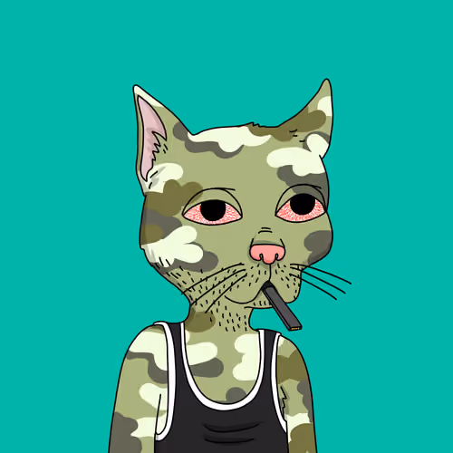 Gutter Cat #315