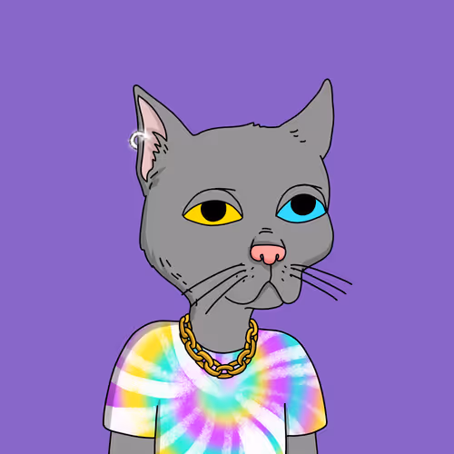 Gutter Cat #2471