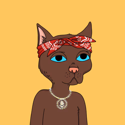 Gutter Cat #717