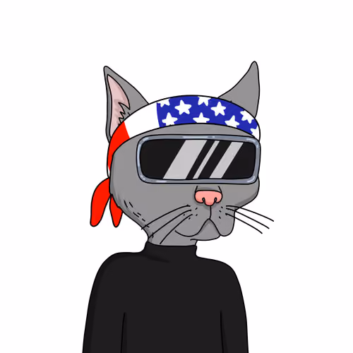 Gutter Cat #1014