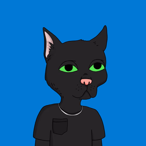 Gutter Cat #2344