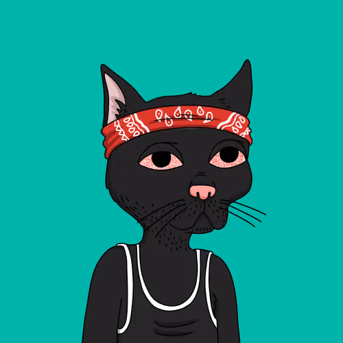 Gutter Cat #868