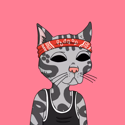 Guttercatgang