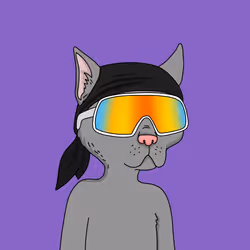 Gutter Cat #1650