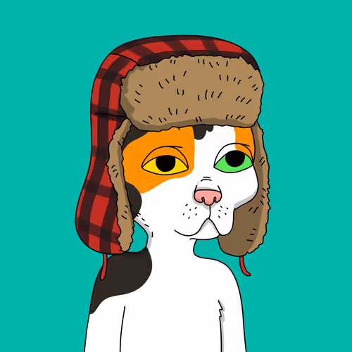 Gutter Cat #1503