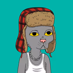 Gutter Cat #1712
