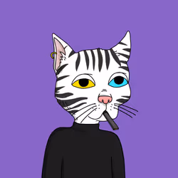 Gutter Cat #237