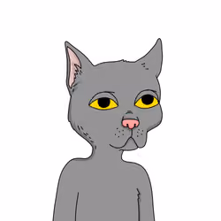 Gutter Cat #2625