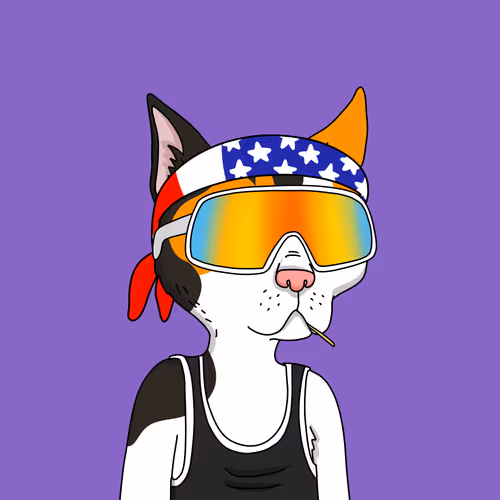 Gutter Cat #2377