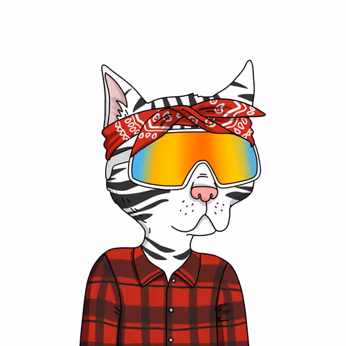 Gutter Cat #2959