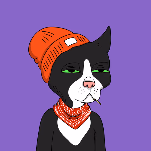 Gutter Cat #1883