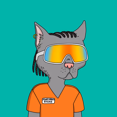 Gutter Cat #2212