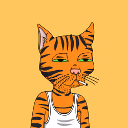 Gutter Cat #355