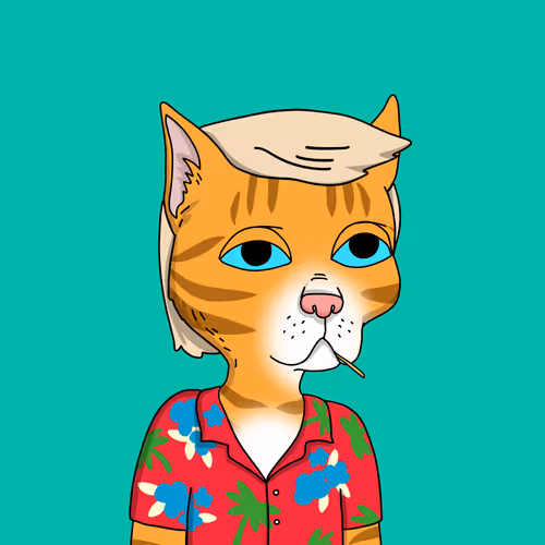 Gutter Cat #2989