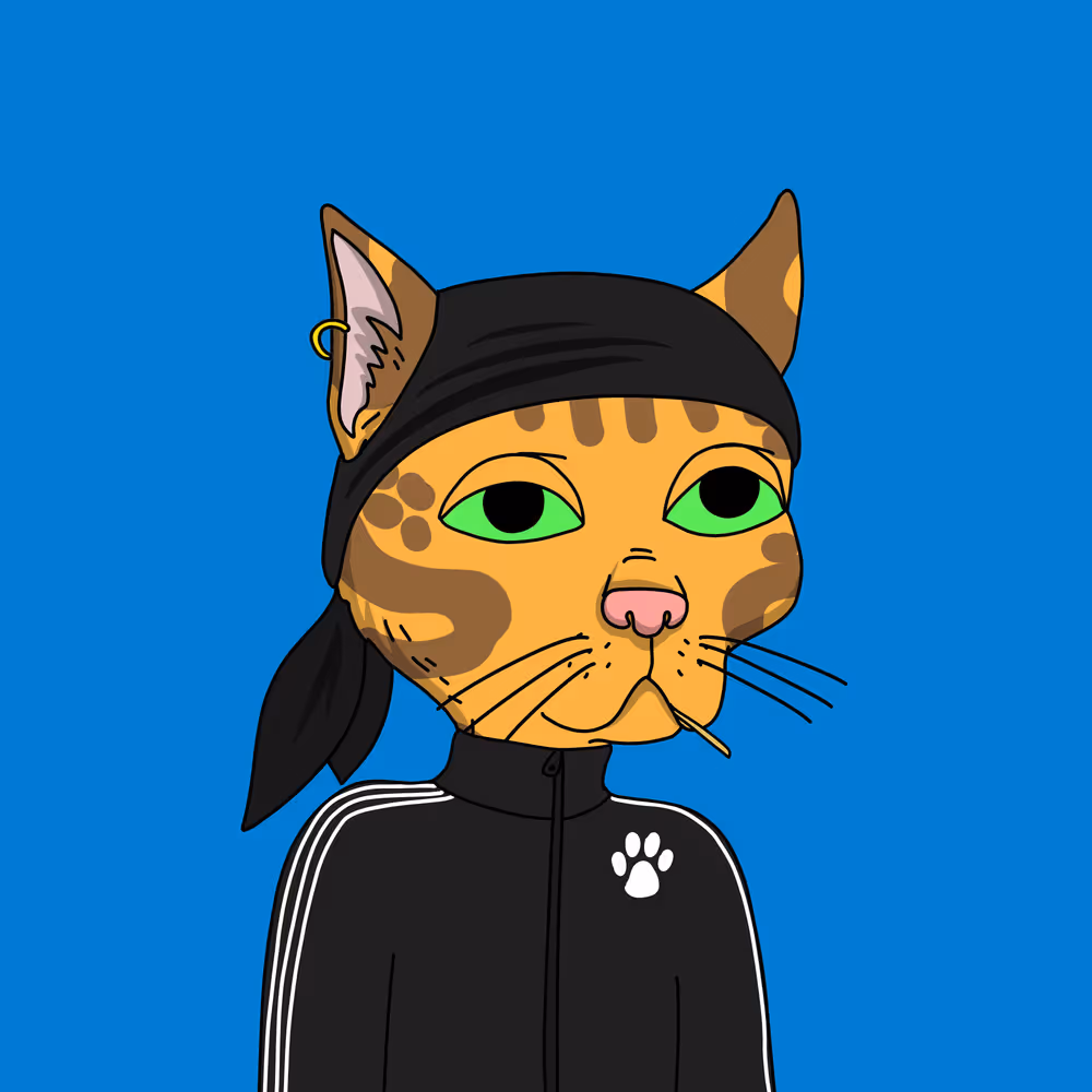 Gutter Cat #2977