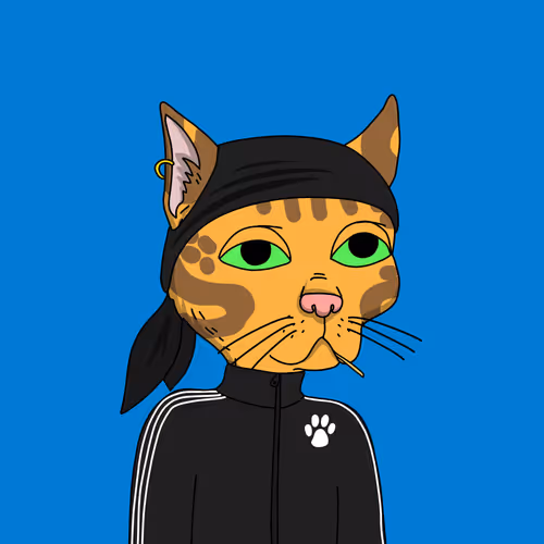 Gutter Cat #2977