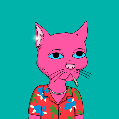 Gutter Cat #2582