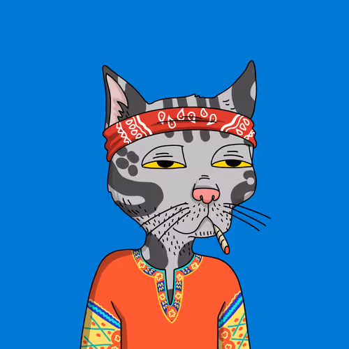 Gutter Cat #1562