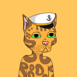 Gutter Cat #1341