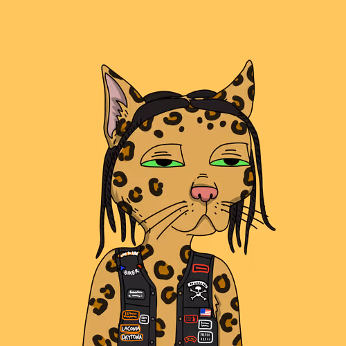 Gutter Cat #2550