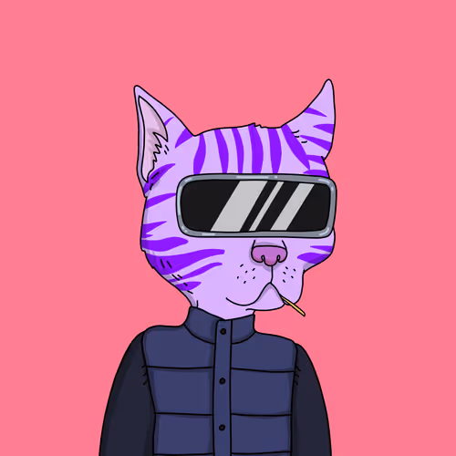 Gutter Cat #2116