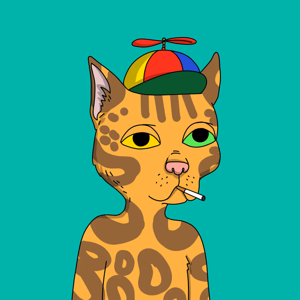 Gutter Cat #2956