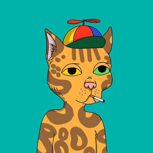 Gutter Cat #2956