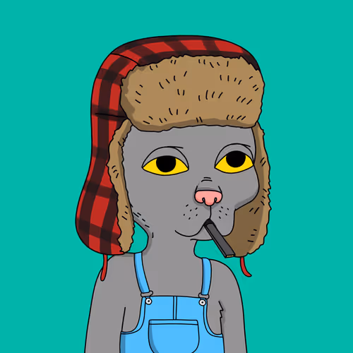 Gutter Cat #1570