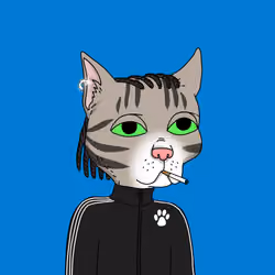 Gutter Cat #1519